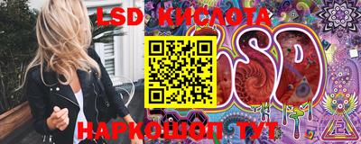 прущие грибы Кимры