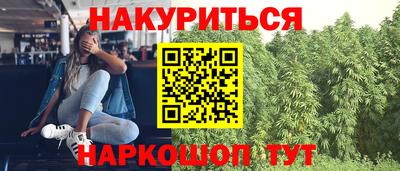 прущие грибы Кимры