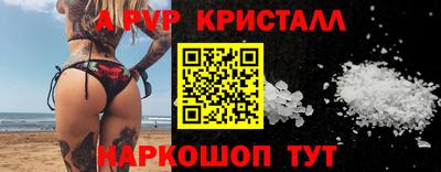 экстази Кингисепп