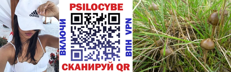 Галлюциногенные грибы мухоморы Кудымкар