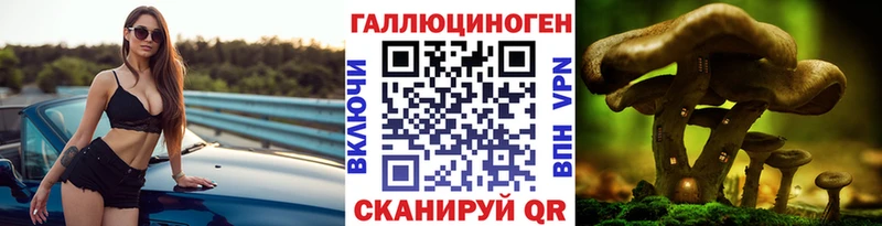 Галлюциногенные грибы MAGIC MUSHROOMS  блэк спрут зеркало  Кудымкар 