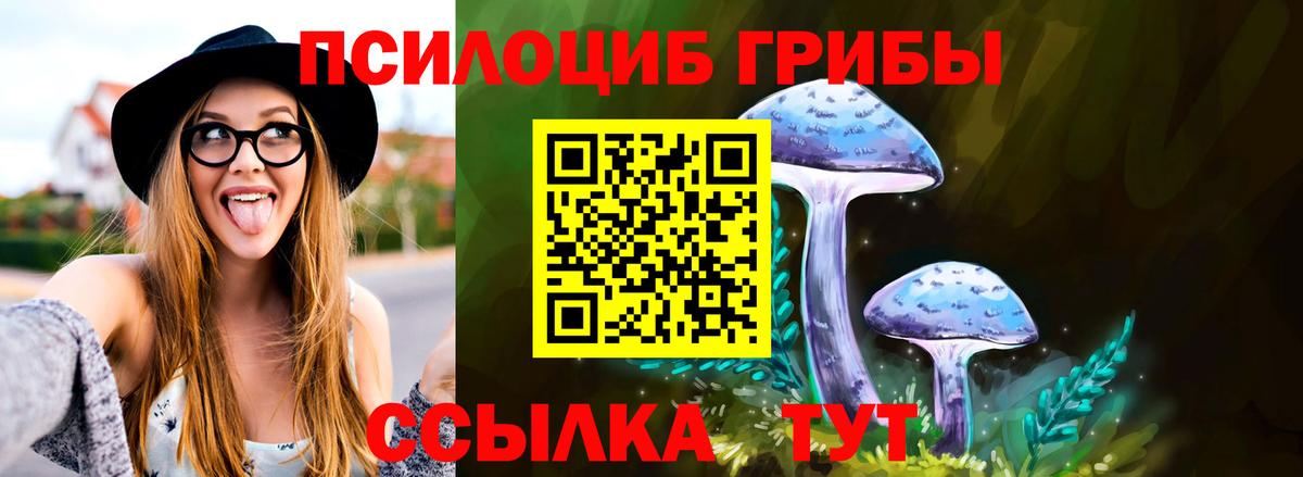 где найти наркотики  Галлюциногенные грибы GOLDEN TEACHER  Вход с VPN  Кудымкар 
