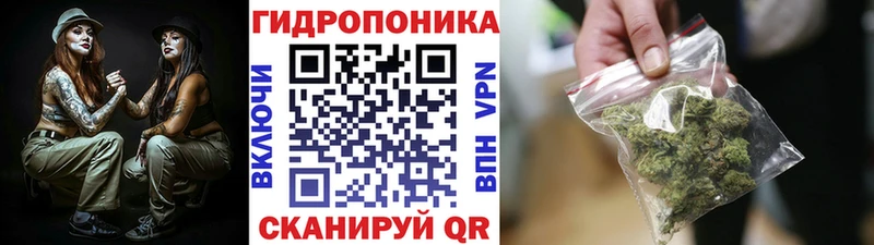 где купить наркоту omg вход Бошки Шишки конопля Кудымкар